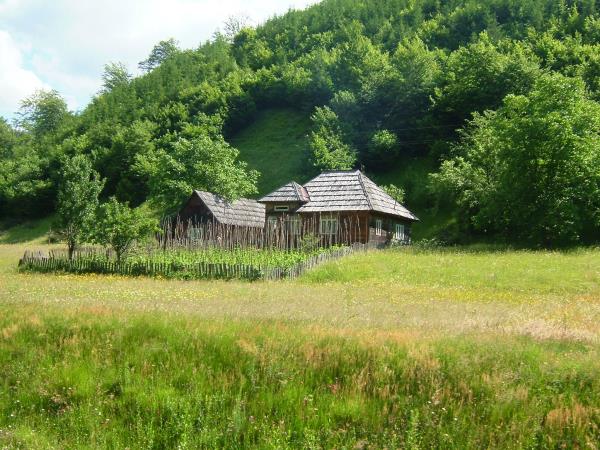 Transylvania self-drive vacation in Romania