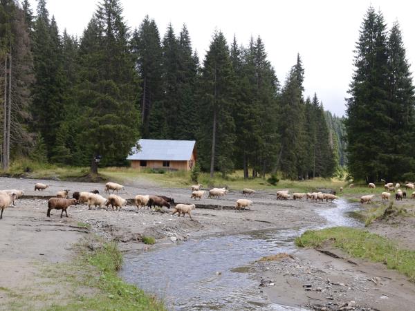 Romania's natural wonders vacation, small group
