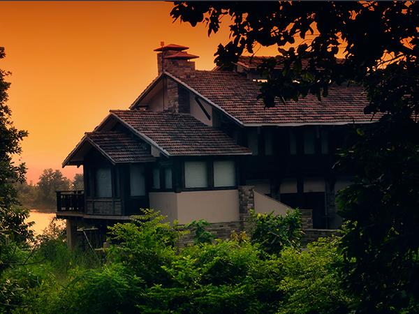 Central India wildlife holiday, stay in a treehouse