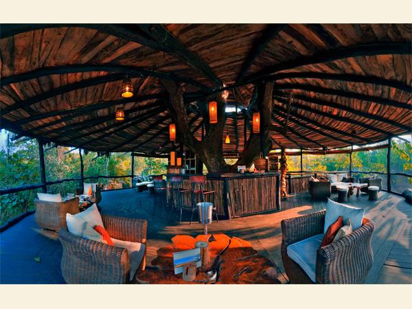 Central India wildlife holiday, stay in a treehouse