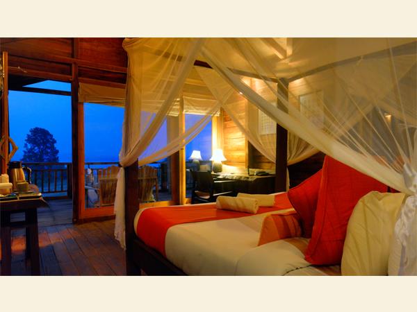 Central India wildlife holiday, stay in a treehouse