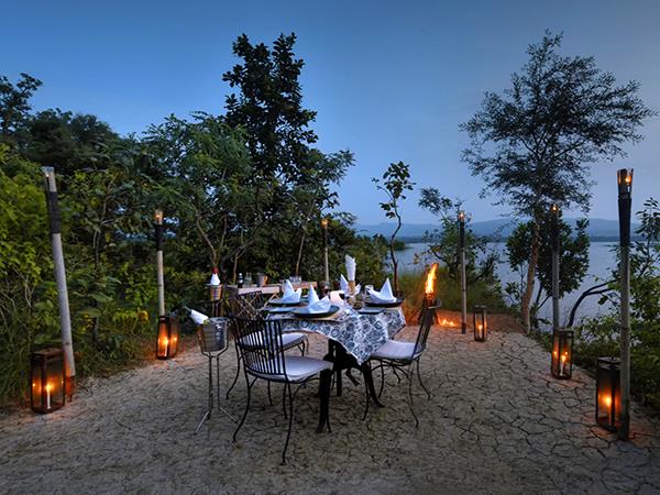 Central India wildlife holiday, stay in a treehouse