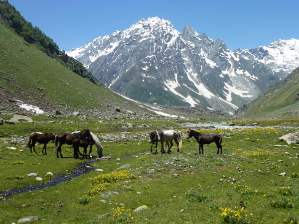Bhaba and Pin Valley trekking vacation in India