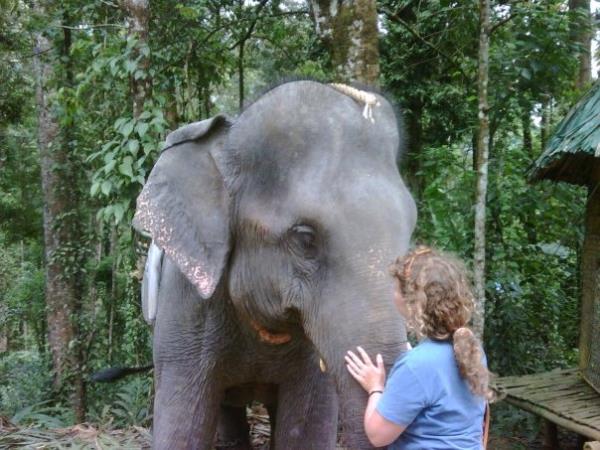 Backwaters of Kerala, spice gardens & beach vacation