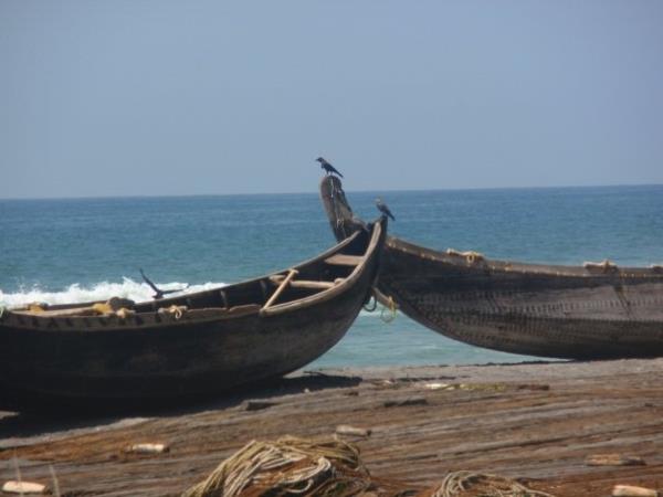 Backwaters of Kerala, spice gardens & beach vacation