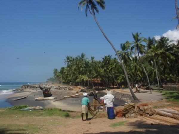 Backwaters of Kerala, spice gardens & beach vacation