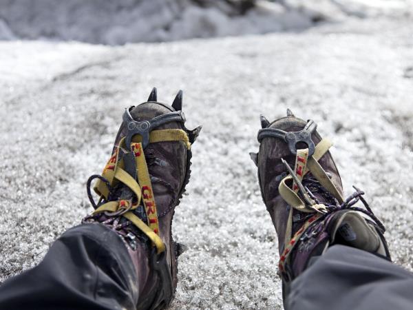 Spitsbergen summer holiday, glaciers of Isfjorden