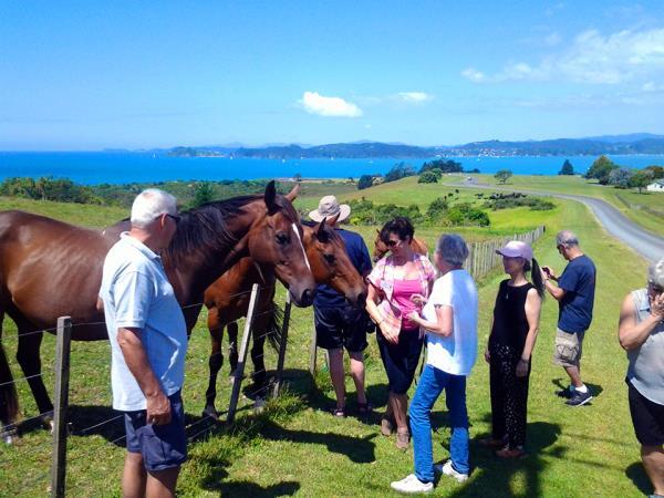 New Zealand small group tour, 16 days