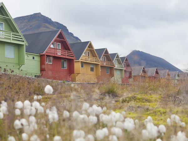 Spitsbergen summer holiday, glaciers of Isfjorden