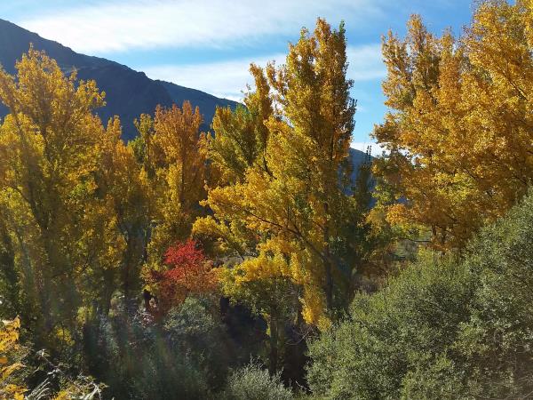 Andalucia walking vacation, Autumn in Spain