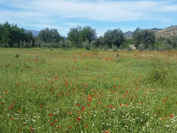 Hiking vacation in Las Alpujarras, Spain