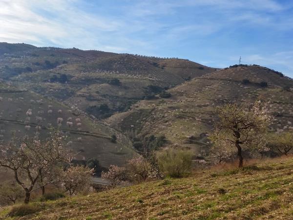 Spain hiking vacation, Walking in blossom