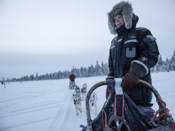 Husky safari in Finland