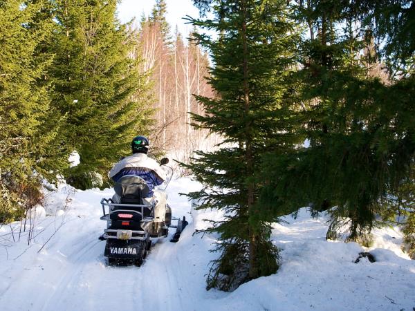 Swedish Lapland new year vacation, northern lights and activities