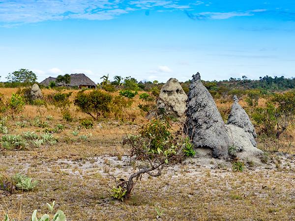 Guyana wildlife vacation, private departure