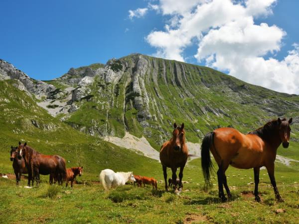 Montenegro extreme activity vacation