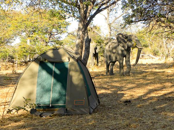 Botswana National Parks safari holiday