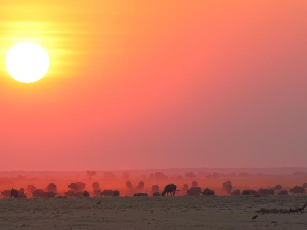 Botswana National Parks safari holiday