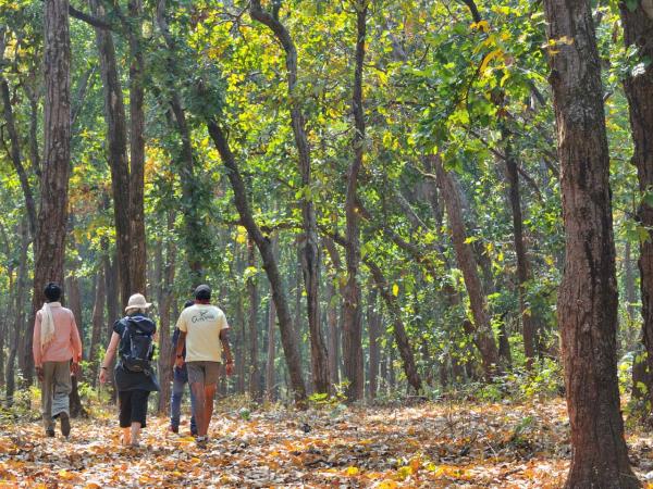 Central India vacation, trekking and culture