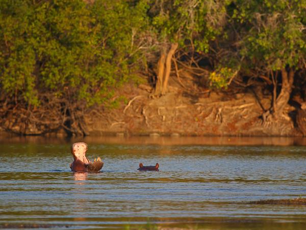 Western Zambia wilderness expedition