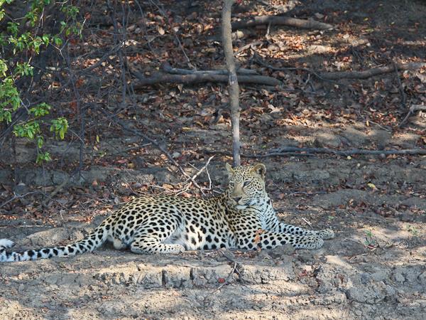 Western Zambia wilderness expedition