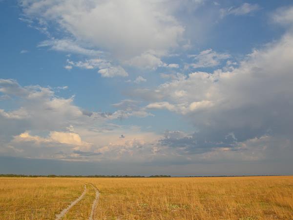Western Zambia wilderness expedition