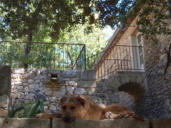 Rural France accommodation, heart of the Provence