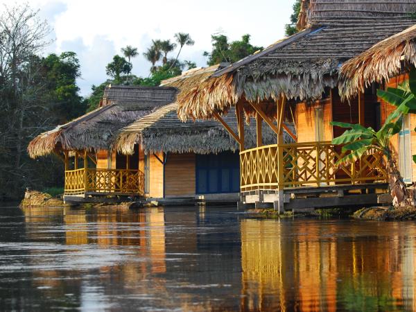 Brazil wildlife vacation, Amazon and Pantanal