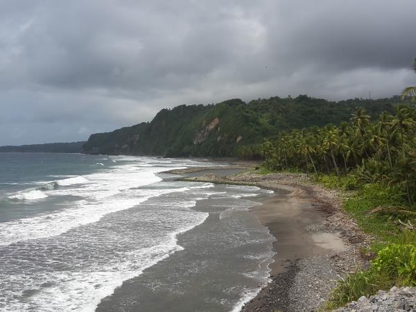 Walking and sightseeing holiday in Dominica