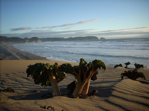 Self drive Patagonia vacation including Mapuche culture