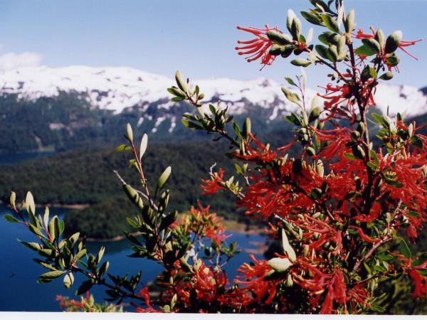 Self drive Patagonia vacation including Mapuche culture