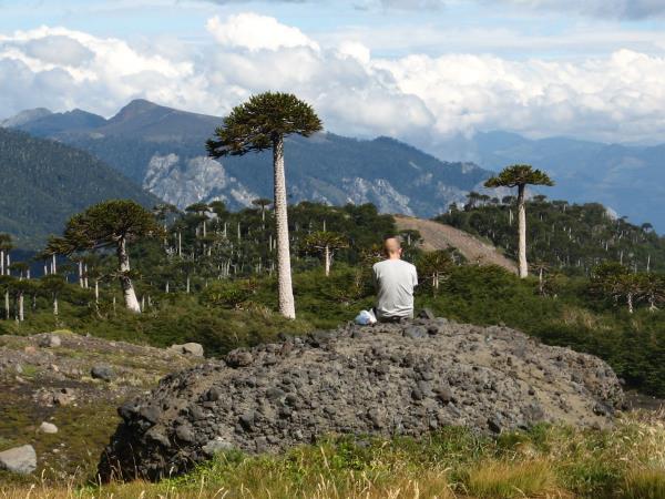 Self drive Patagonia vacation including Mapuche culture