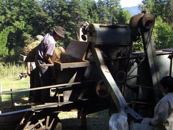 Self drive Patagonia vacation including Mapuche culture