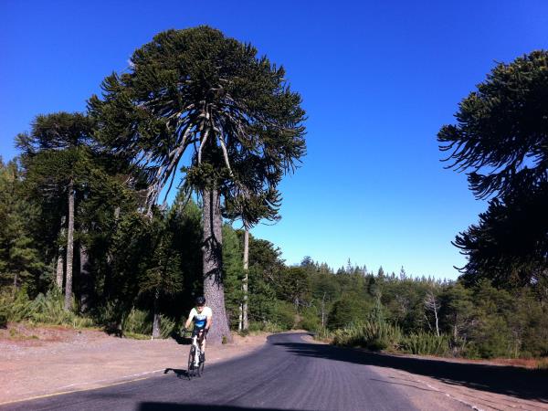 Chile biking vacation