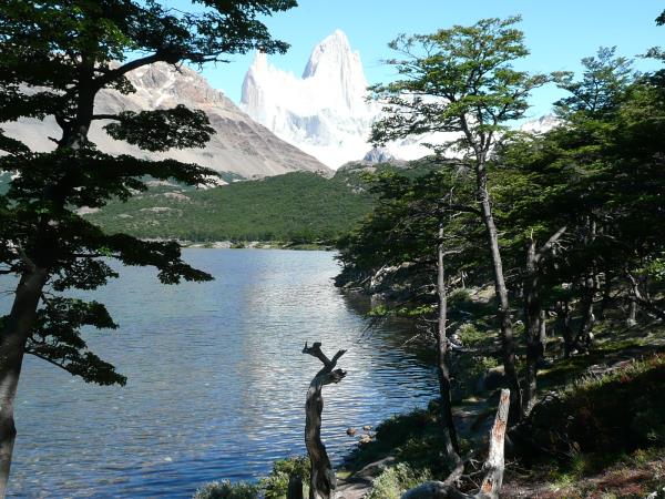 Patagonian glaciers vacation with ice trekking