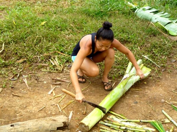 Elephant conservation volunteering in Laos