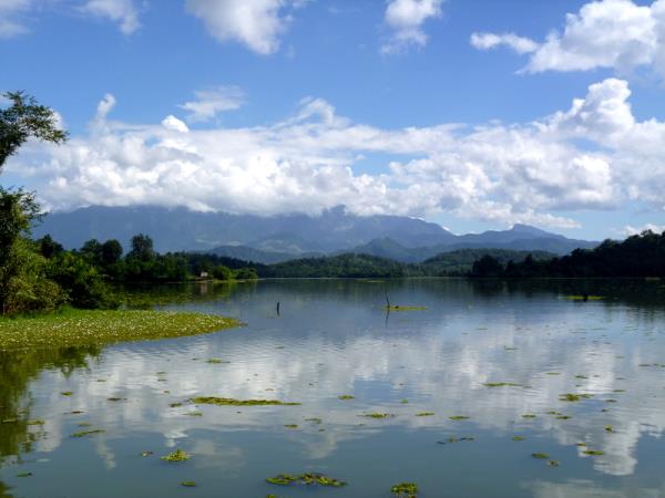 Elephant conservation volunteering in Laos