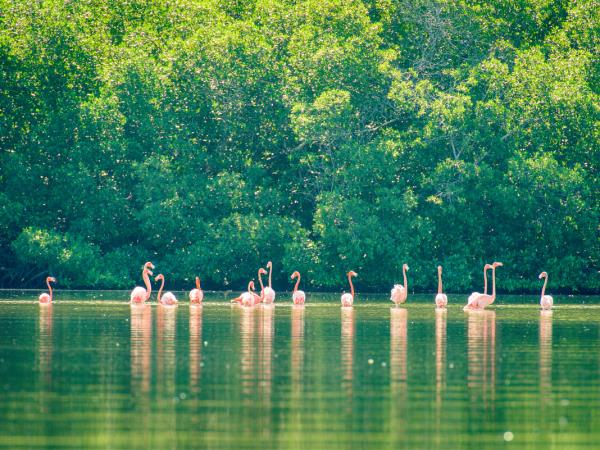 National Parks of Cuba walking vacation