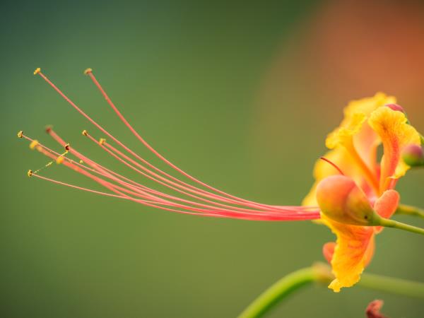 National Parks of Cuba walking vacation