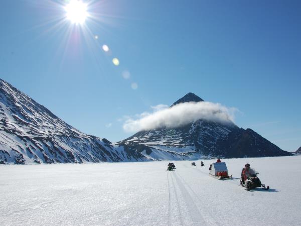 Canada Arctic wilderness safari, Polar bears & Narwhals