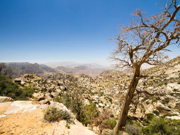 Jordan adventure vacation