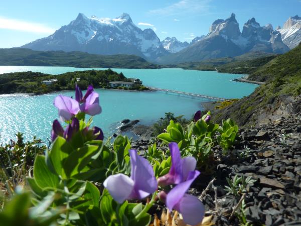Patagonia national parks vacation