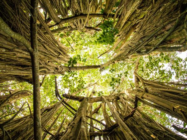 Cuba photography tour