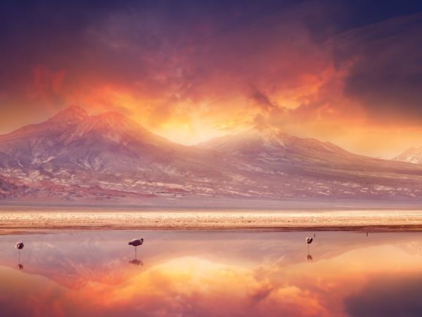 Chile highlights tour, 10 days
