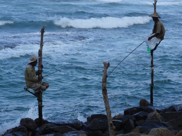 Best of Sri Lanka 21 day vacation