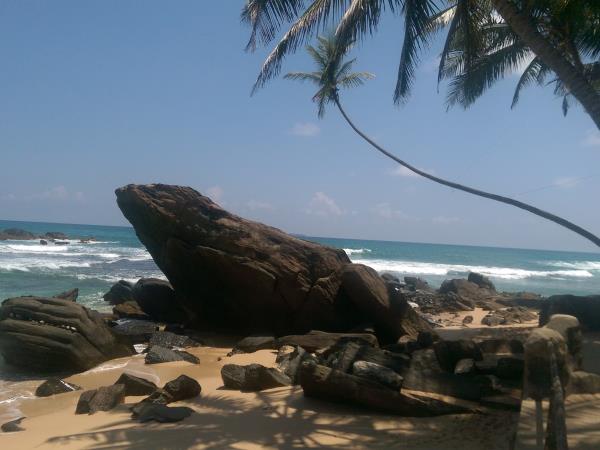 Best of Sri Lanka 21 day vacation