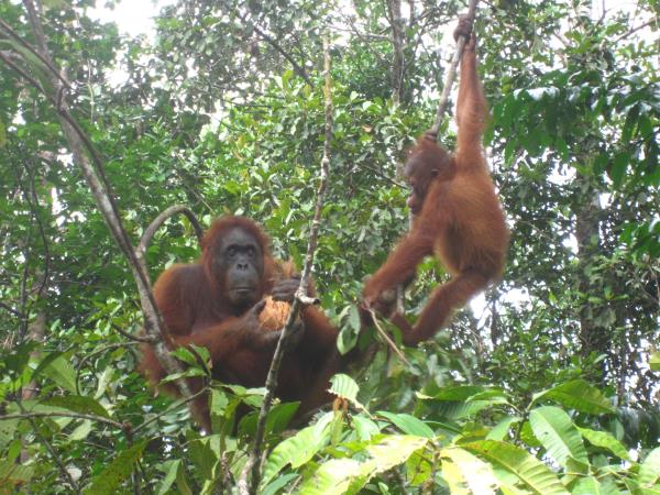 Family holiday in Sabah