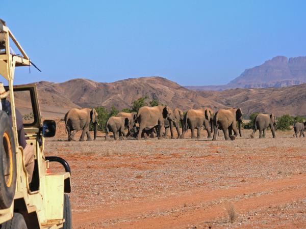 Namibia elephant conservation