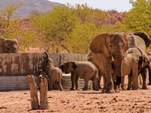Namibia elephant conservation