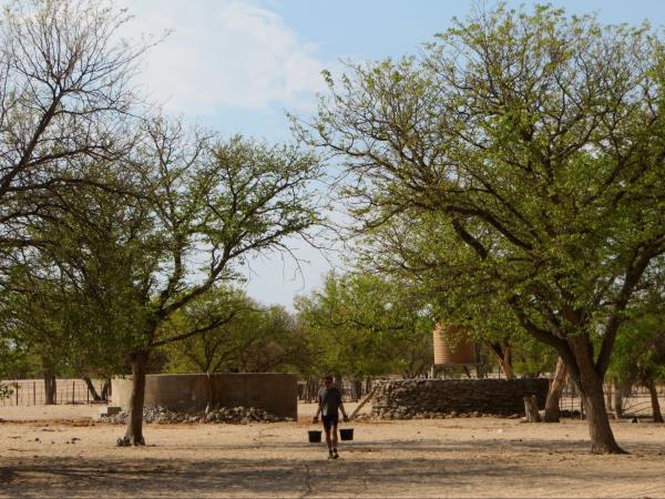 Namibia elephant conservation